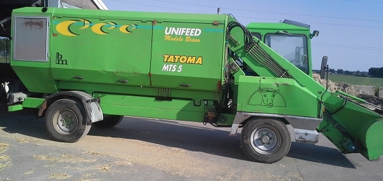 tatomaendaf 016